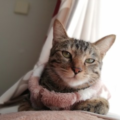 18位のイメージ