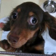 11位のイメージ