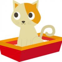 52位のイメージ