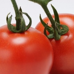 97位のイメージ