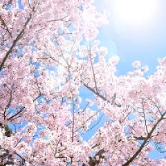 40位のイメージ