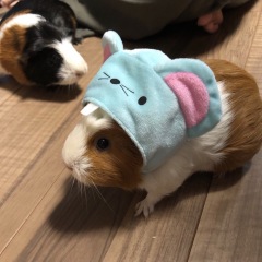 13位のイメージ