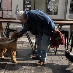 17位のイメージ