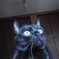 16位のイメージ