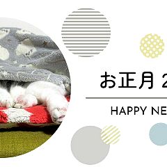 16位のイメージ