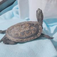 28位のイメージ