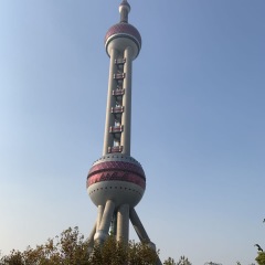 51位のイメージ