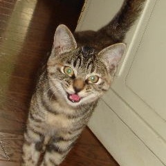 78位のイメージ