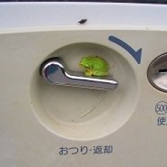 14位のイメージ