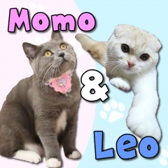 19位のイメージ