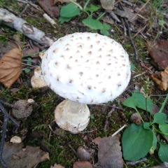 24位のイメージ