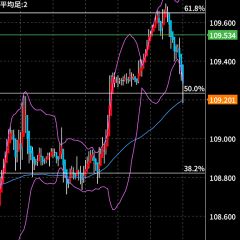 41位のイメージ
