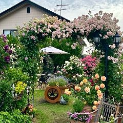 29位のイメージ