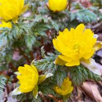 101位のイメージ