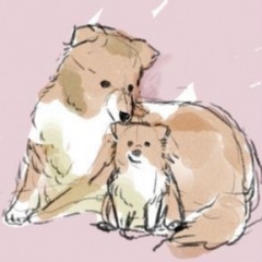 27位のイメージ