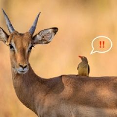 22位のイメージ