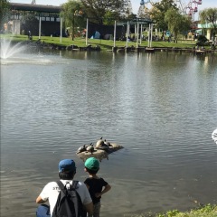 61位のイメージ