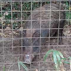 14位のイメージ