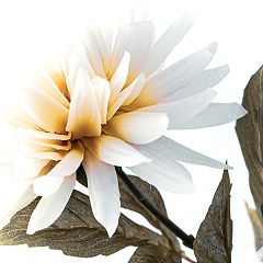 53位のイメージ