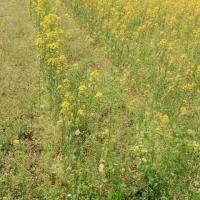 26位のイメージ