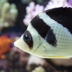 12位のイメージ