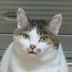 17位のイメージ