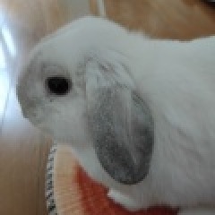 20位のイメージ