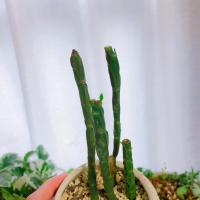 14位のイメージ