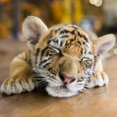 58位のイメージ