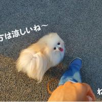 42位のイメージ