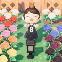 20位のイメージ