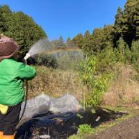 26位のイメージ