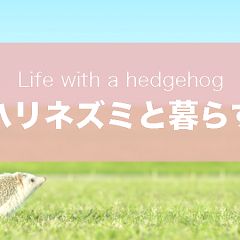 13位のイメージ