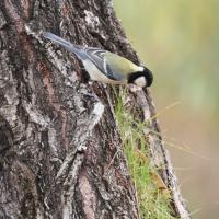 12位のイメージ