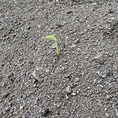 35位のイメージ