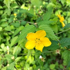 46位のイメージ