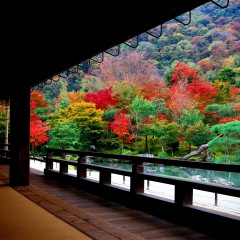 30位のイメージ