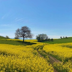 20位のイメージ