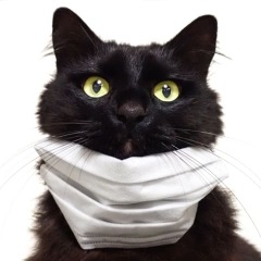 27位のイメージ