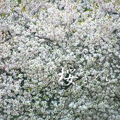 24位のイメージ