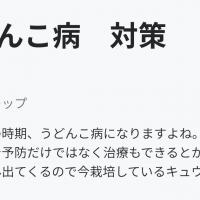 17位のイメージ