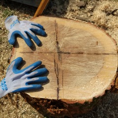 299位のイメージ