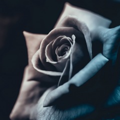 12位のイメージ