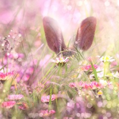 88位のイメージ