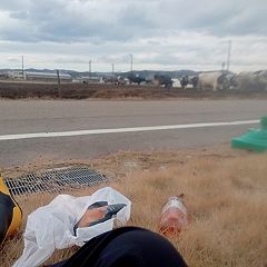 27位のイメージ