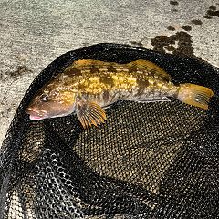 86位のイメージ