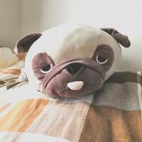 20位のイメージ