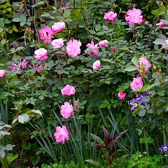 101位のイメージ