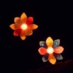 73位のイメージ