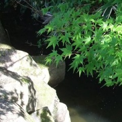 29位のイメージ